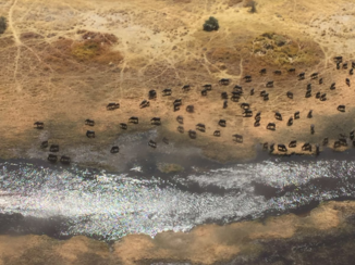 Botswana - Vlucht over de Okavanga