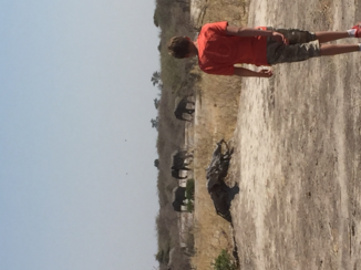 Botswana - Moremi. Zo dicht bij de dieren