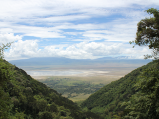 Serengeti National Park - Ngorongoro Crater