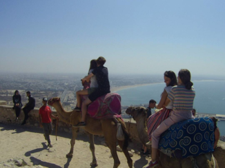 Marokko - Kameelrijden in Agadir