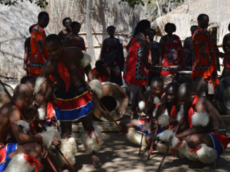 Tui - Swaziland
