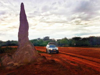Namibië - Empire state termietenheuvel