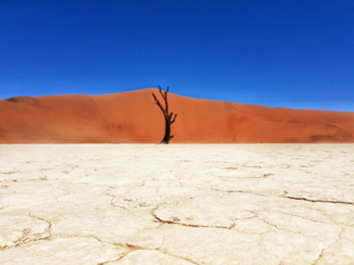 Namibië - Deadvlei