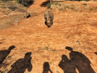 Namibië - Waterberg