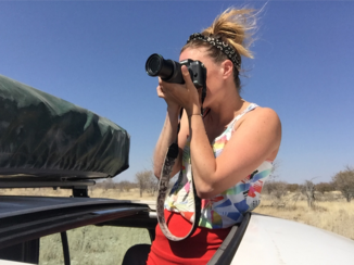 Namibië - Wildlife 'schieten'
