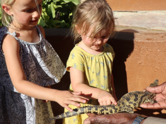 Namibië - Crocodile Farm in Otjiwarongo