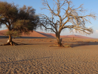 Oeganda - Namibië, zandduinen
