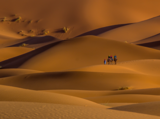 Marokko - Als een fluwelen deken