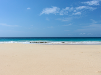 Boa Vista - Santa Monica Beach