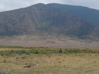 Ngorongoro krater - Ngorongoro