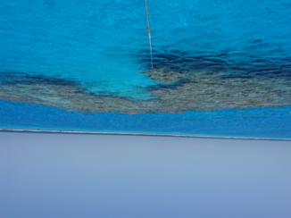 Egypte - Koraalriffen