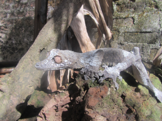 Madagaskar - Incredible beauty