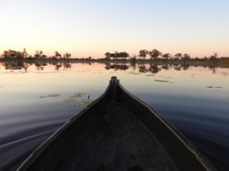 Okavango Delta - okavango delta