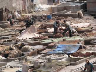 Marokko - Leerlooierij in Marrakech