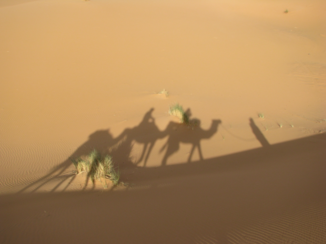 Marokko - Schaduwen in de woestijn