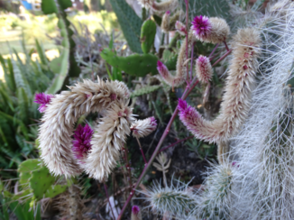 Madagaskar - Colorful