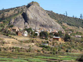 Madagaskar - Live under a rock