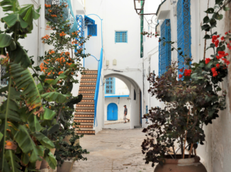 Tunesië - Sidi bou said