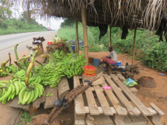 Ghana - Van Accra naar Kumasi