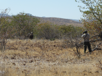 Namibië - Grootberg Rhino trekking