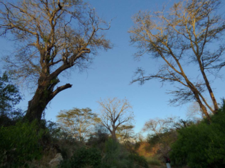 Kenia - prachtige natuur in Niyka, grenzend aan Tsavo East