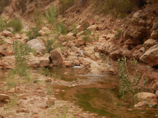 Marokko - oase in het Atlas gebergte
