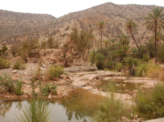 Marokko - oase Atlas gebergte