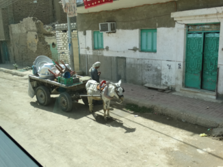 Egypte - Een verhuizing