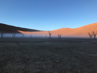 Sossusvlei - Deadvlei in de mist