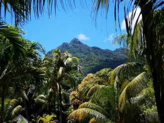 Seychellen - Mahe