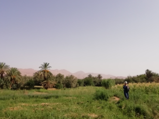 Marokko - Ouarzazate