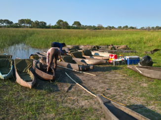 Zimbabwe - Okavango Delta