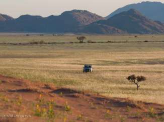 Namibië - Uitzicht woestijn na regenseizoen