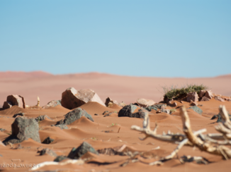 Namibië - Close-up woestijngrond