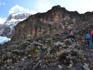 Kilimanjaro - "Great Baranco Wall"