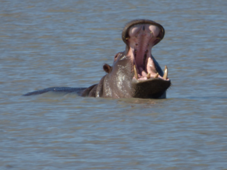 Botswana