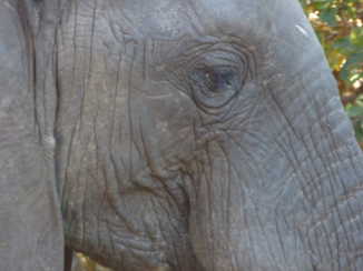 Botswana