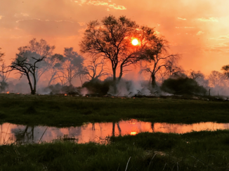 Okavango Delta - Natuurbrand