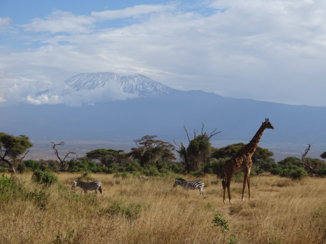 Amboseli National Park