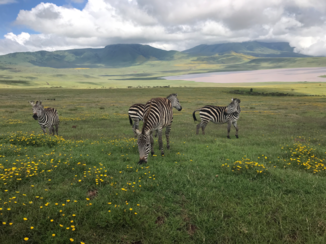 Tanzania - Ngorongoro krater
