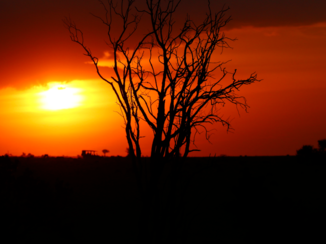 Serengeti National Park - Avond op de Serengeti.