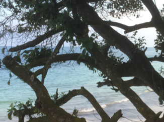 Kenia - Uitzicht vanuit ressort