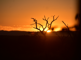 Krugerpark - Ondergaande zon