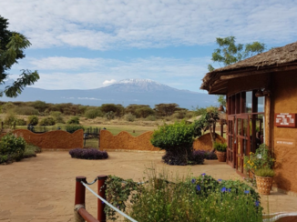 Amboseli National Park - Kilimanjaro