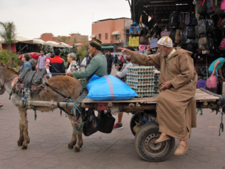 Marokko - Handel in Marrakesh