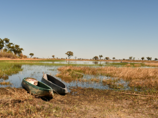Botswana - Met een mokoro de Okavango Delta in