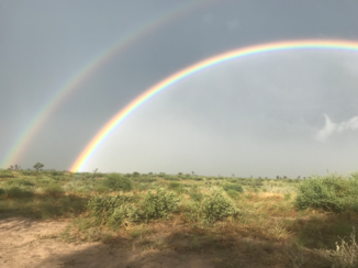 Botswana - Regenboog na een hagelbui in de Centraal Kalahari. Met 40 gr
