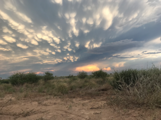 Botswana - Zonsondergang in Centraal Kalahari.
