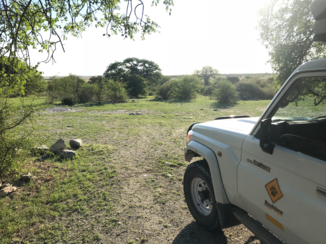 Botswana - Lekhubu Island.