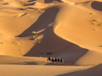 Rondreis hoogtepunten Marokko - De kleur van het zand is als een fluwelen deken.